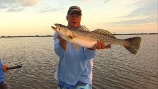 Topwater Speckled Trout Fishing on Mirrolure Top Dog Mosquito Lagoon [upl. by Ateuqal966]