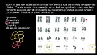 Haploidy Monosomy Mosaicism Trisomy Balanced translocation explained [upl. by Aneerhs]