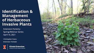 Identification and Management of Herbaceous Invasive Plants [upl. by Terena]