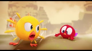 Angry Chicky  Wheres Chicky  Cartoon Collection in English for Kids  New episodes [upl. by Nnaeilsel]