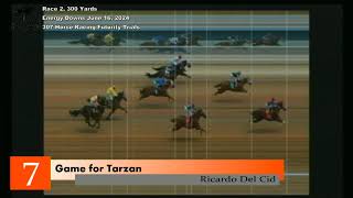 307 Horse Racing Energy Downs June 16 2024 Race 2 300 Yards [upl. by Callean843]