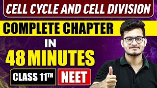 CELL CYCLE and CELL DIVISION in 48 Minutes  Full Chapter Revision  Class 11 NEET [upl. by Bonnes]