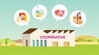 Whats an agricultural cooperative [upl. by Long]