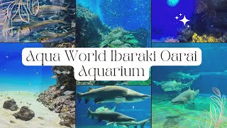 Aqua World Ibaraki Oarai Aquarium  Full inside tour  Japan 🇯🇵 [upl. by Nongim]