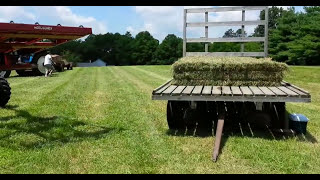 Baling hay with accumulator and grapple small bale [upl. by Becka]