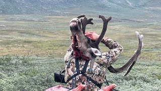 Caribou hunting Sermilik greenland  Tuttunniarneq sermilik [upl. by Heng]