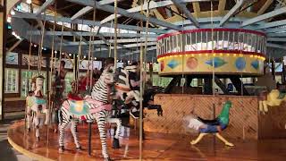 Geezers on the Caroga Lake Carousel [upl. by Cross]