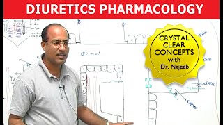 Diuretics  Pharmacology  Dr Najeeb [upl. by Polish364]