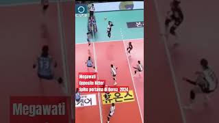 Spike pertama Megawati Red Sparks vs IBK  Liga Volleyball Korea 2024 shorts [upl. by Mohl427]