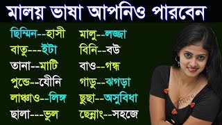 Learn to Speak Malay Language  Malay course for foreigners  Daily using Malay to Bangla [upl. by Karna]