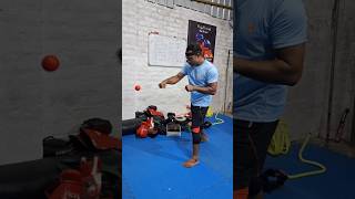 Boxing Reflex Ball Drills [upl. by Aleak282]