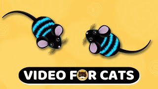 CAT GAMES  Mouse Mice Video For Cats  CAT amp DOG TV  1 Hour [upl. by Ranitta]