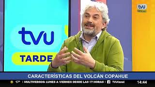 En Alerta Amarilla académico UdeC revela detalles de situación del Volcán Copahue [upl. by Hgielrac]