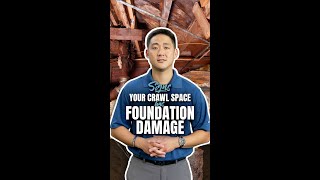 Creaky Floors amp Drywall Cracks 2 Major Signs of Crawl Space Damage [upl. by Leicam]