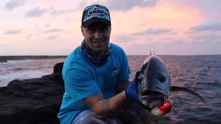 ROCK FISHING  SPINNING  INSHORE EXPERIENCE FISHING CAPE VERDE SAL ISLAND [upl. by Alledi]