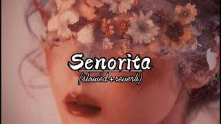 DJ Noiz  Senorita feat Kennyon Brown Donell Lewis amp Konecs  slowedreverb [upl. by Nalac]