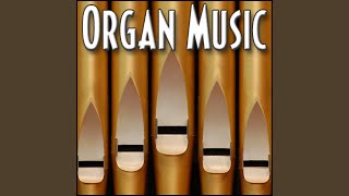 Music Organ Circus  1810 Circus Pipe Organ Circus Song Arcade Music Organ Music [upl. by Teresita]