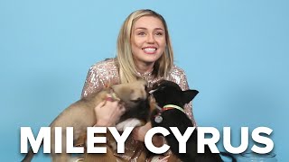 Miley Cyrus Plays With Puppies While Answering Fan Questions [upl. by Covell]