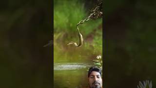 fishing bassfishing fish snake nature shorts [upl. by Irrabaj]