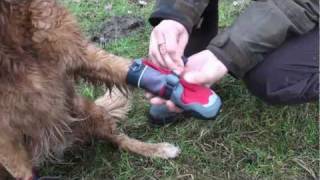 Ruff Wear Polar Trex Grip Hundeschuhe Pfotenschutz Schuhe für Hunde [upl. by Oirifrop832]