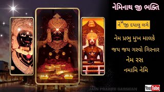 Neminath dada ki Bhakti  નેમિનાથ દાદા કી ભક્તિ [upl. by Hamon]