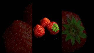 Strawberry Rotting Time Lapse fruits timelapse shorts [upl. by Ahsienel219]