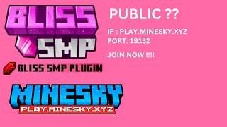 The Public BLISS SMP is NOW HERE JavaBedrock [upl. by Nahtannoj]