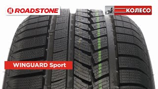 Roadstone Winguard Sport обзор зимних шин  КОЛЕСОру [upl. by Reynold]