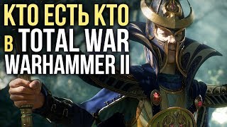 КТО ЕСТЬ КТО В TOTAL WAR WARHAMMER II Скавены Тёмные эльфы Высшие эльфы Ящеролюды [upl. by Ayaros]