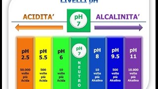 5 alimenti che rendono alcalino il nostro corpo [upl. by Eoin]