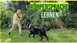 Mit Körpersprache zum Hundeflüsterer 13 [upl. by Gough]