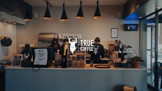 True Coffee Colon Cinematic  Lite visuals [upl. by Xuaeb]