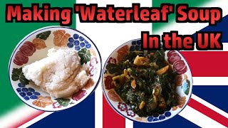 Making Nigerian Waterleaf Soup In The UK Using Available Ingredients [upl. by Etnovad]