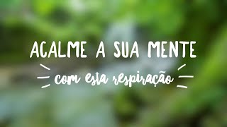 Respiração para Aliviar Ansiedade e Stress  Pranayama Bhramari  5Min Pri Leite [upl. by Sass]