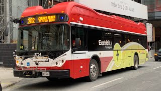 TTC RARE Ride Video on 3754 on route 202 Cherry Beach to Lakeshore Blvd amp Carlaw Avenue [upl. by Robbert]