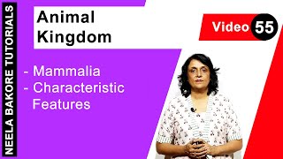 Animal Kingdom  NEET  Mammalia  Characteristic Features  Neela Bakore Tutorials [upl. by Melcher295]