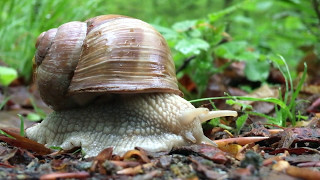 Meine Bergans Regenklamotten im Test [upl. by Alban]