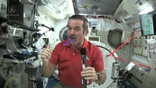 How To Brush Your Teeth In Space  Video [upl. by Inaluahek]