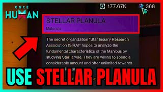 How To Use STELLAR PLANULA In Once Human QUICK GUIDE [upl. by Sitelc]