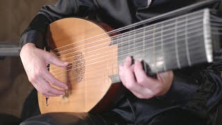 quotLiberationquot Meditative Ambient Music on Baroque Lute  Nao Sogabe [upl. by Anelrihs]