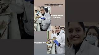 Human body anatomy amp dissection practical 💀🧑‍⚕️medicalstudent 🧑‍⚕️Rims MBBS student 🧑‍⚕️ [upl. by Jadwiga744]