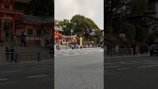 京都Kyoto清水寺金閣寺嵐山伏見稻荷大社鴨川祇園和服體驗日式庭園抹茶京都美食寺廟巡禮紅葉櫻花古都風情京町家日本傳統文化京都旅遊京都散策禪意生活 [upl. by Cassady]