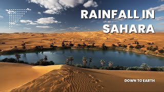 How Sahara Desert will receive a rare amp unexpected rainfall [upl. by Anera]