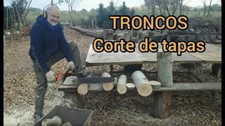 20 🍄 👉 🌳HONGOS en TRONCOS Corte de tapas Paso 1🔷 Cómo cultivar HONGOS ostra en TRONCOS👣Pleurotus [upl. by Joh]