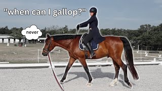 Dressage riding lesson be like  😂 Funny Horse Videos [upl. by Kachine]