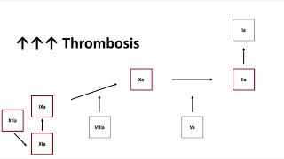 Antithrombin Deficiency [upl. by Cinderella]