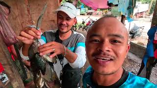 Day DIVE spearfishing adventure [upl. by Franzen]