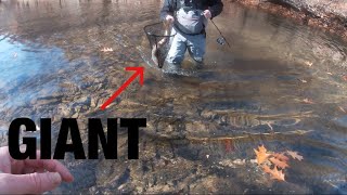 The craziest trout fishing I’ve ever experienced West Virginia Trout Fishing [upl. by Nylkaj]