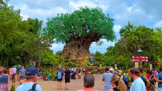 Disneys Animal Kingdom 2022 Orlando Florida  Walkthrough Tour September 2022 [upl. by Eseekram]