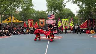 Fongs Hung Gar Lion Dance Team Perform at the 6th Annual Dragon Lion Festival 🦁🍺📜 [upl. by Egag]